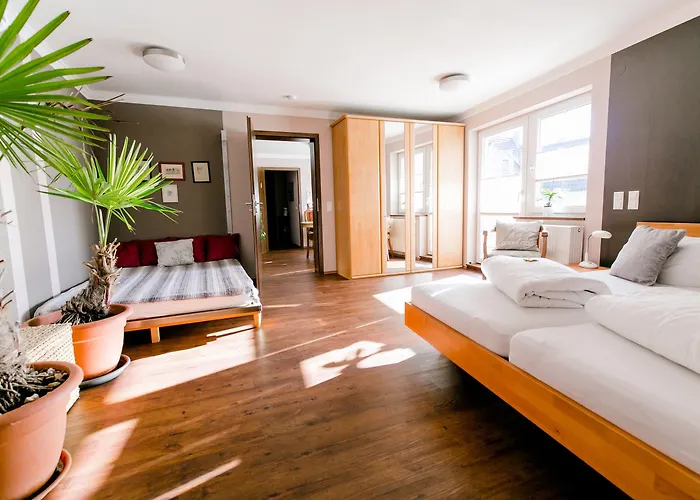 Отель Burgers 3*